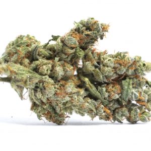 S1XM8RVTS1Ghpaeqc3jf_BLUEBERRY-COOKIES-270-edited-403x303